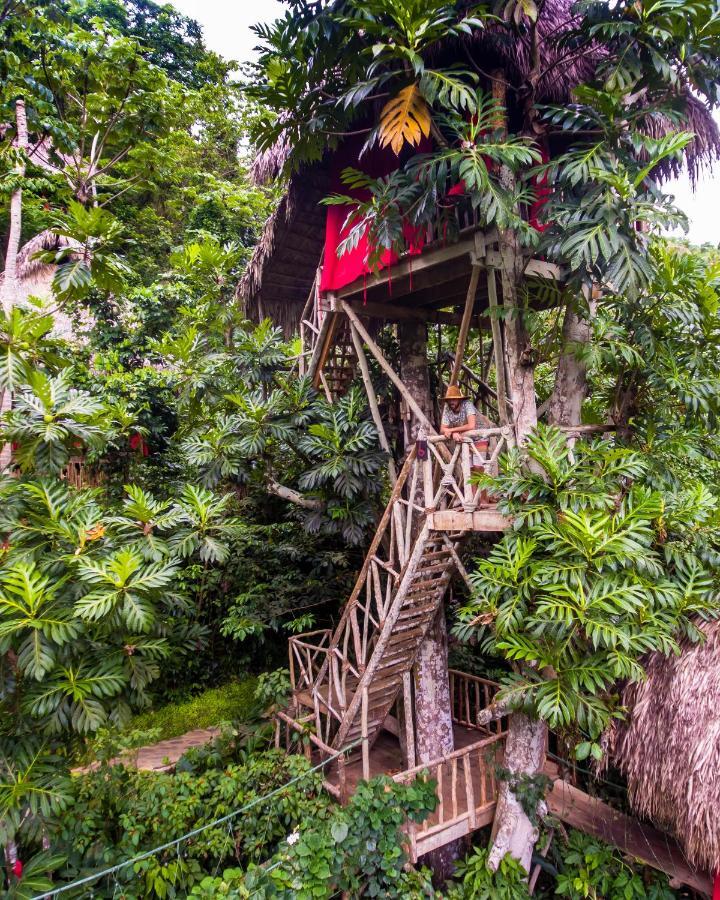 Dominican Tree House Village El Valle Exterior photo