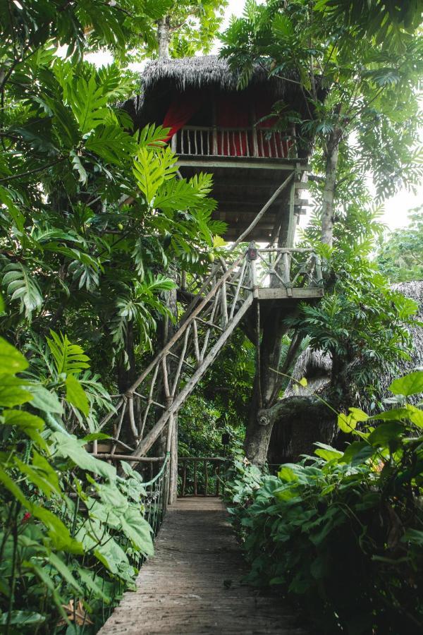 Dominican Tree House Village El Valle Exterior photo