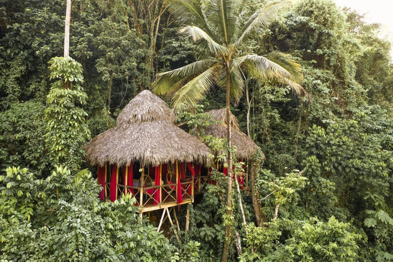 Dominican Tree House Village El Valle Exterior photo