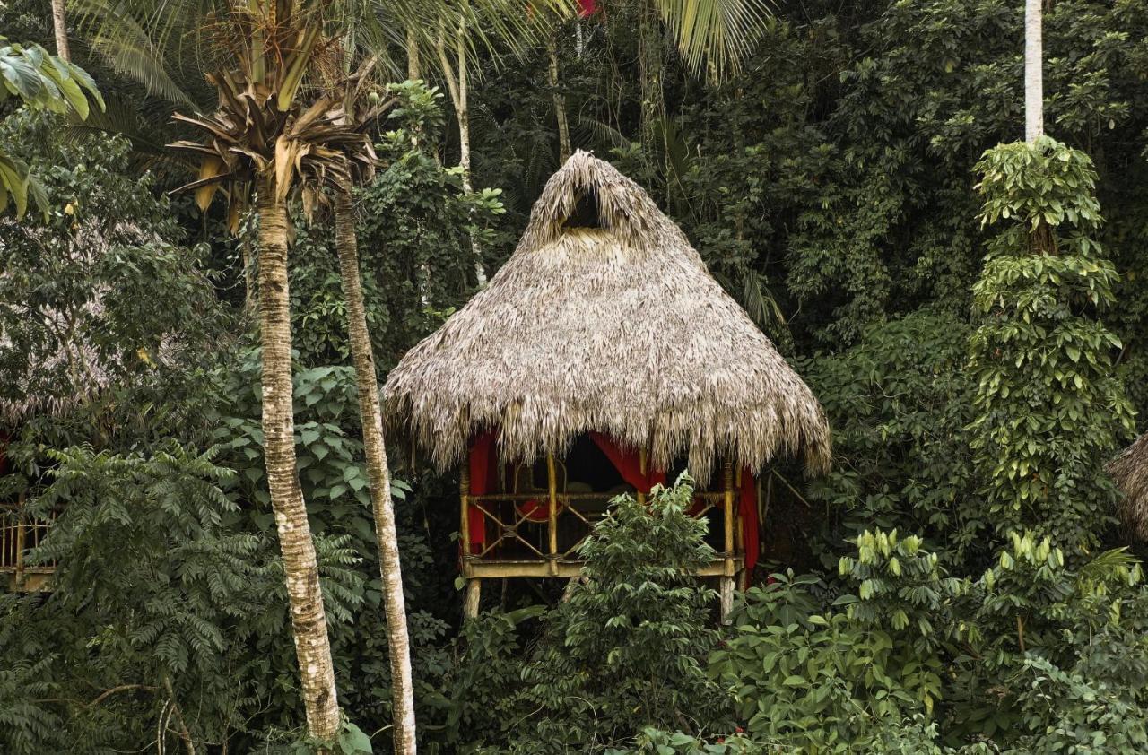 Dominican Tree House Village El Valle Exterior photo