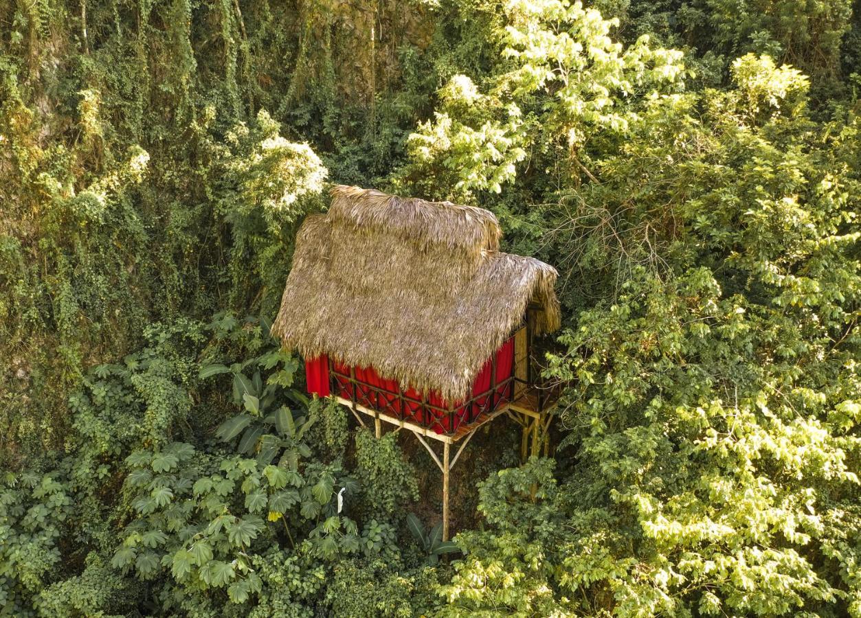 Dominican Tree House Village El Valle Exterior photo